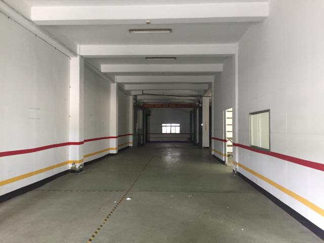 桃園大園廠房-1