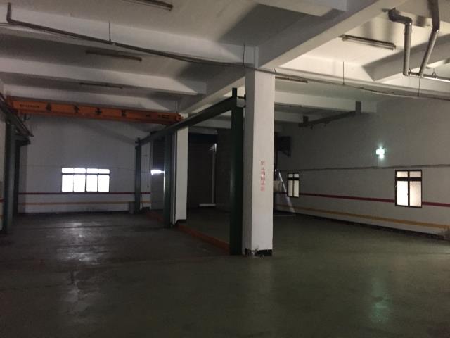桃園大園廠房-4
