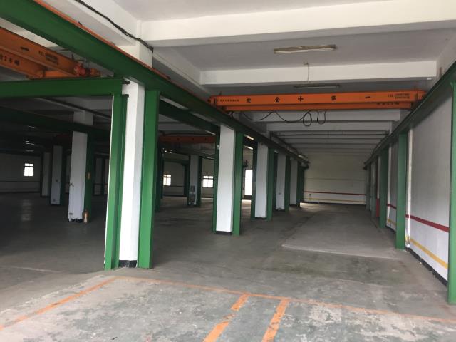 桃園大園廠房-2