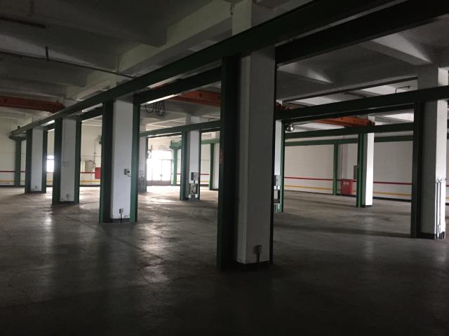 桃園大園廠房-5