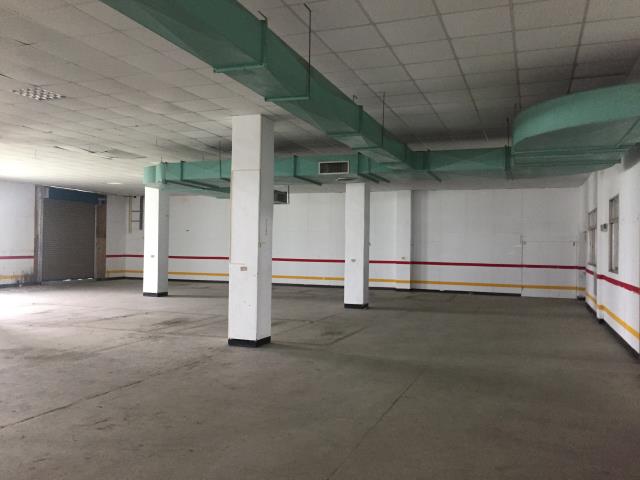 桃園大園廠房-7