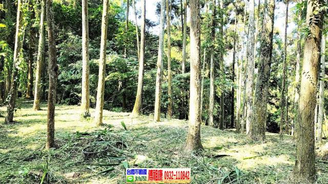 苗栗南庄農舍-5