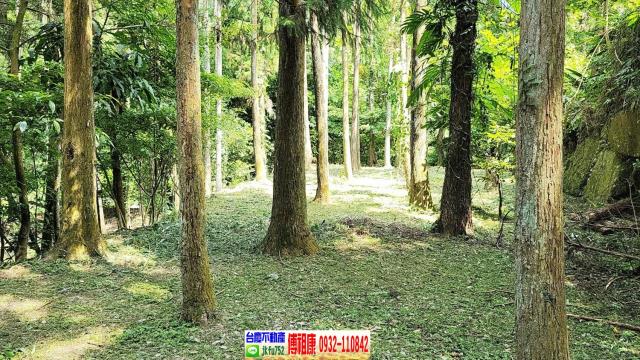 苗栗南庄農舍-6