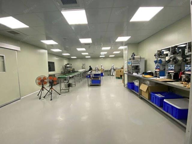 桃園大園廠房-1