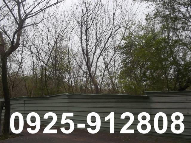 高雄大樹廠房-1