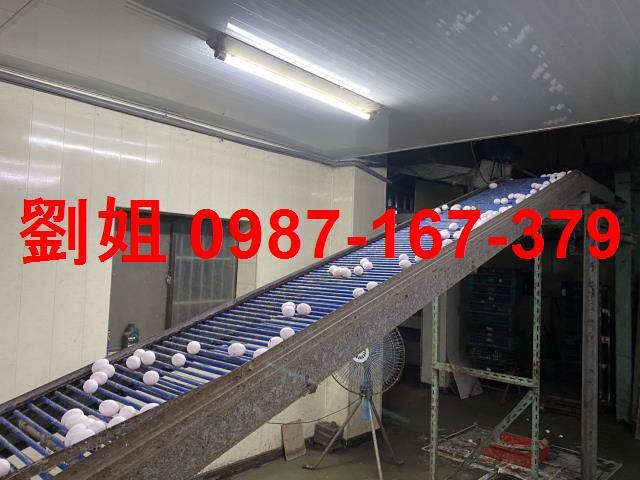 台南鹽水廠房-1