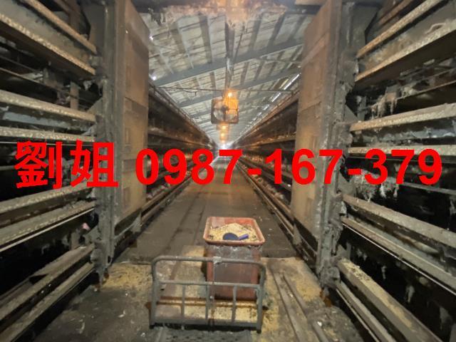 台南鹽水廠房-3