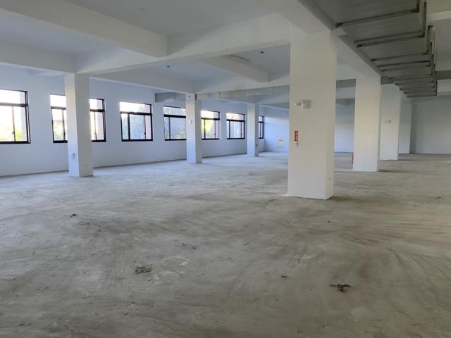 桃園中壢廠房-2