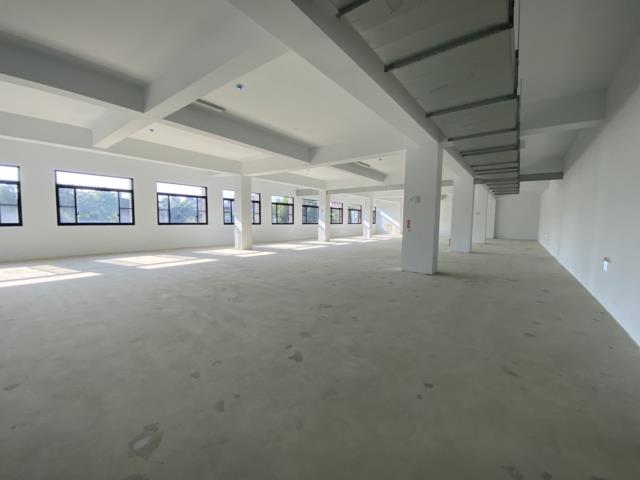 桃園中壢廠房-4