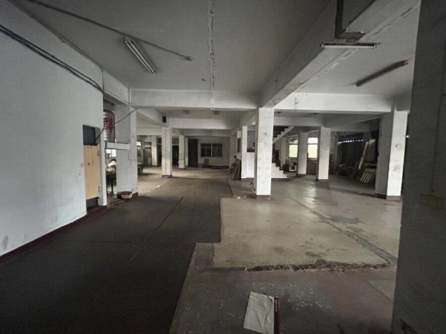 桃園八德廠房-4