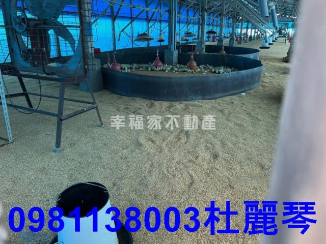 台南後壁農舍-10