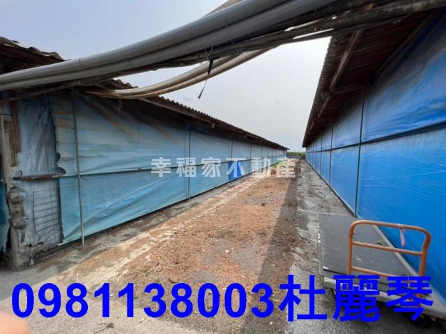 台南後壁農舍-5