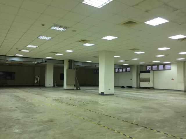 桃園平鎮廠房-5