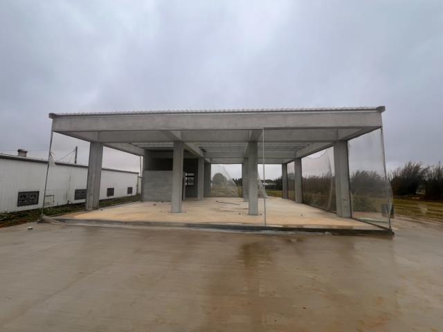 桃園農業生產設施-5