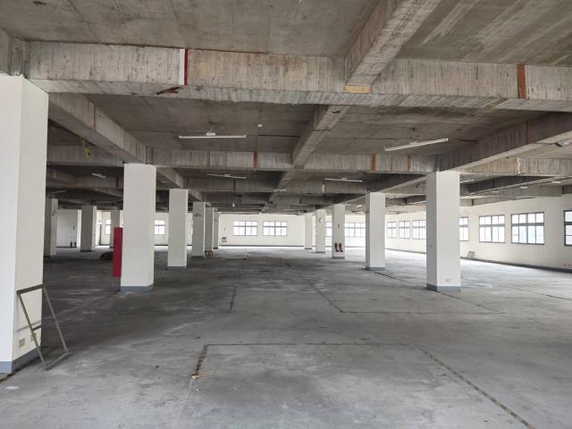 桃園龜山廠房-1