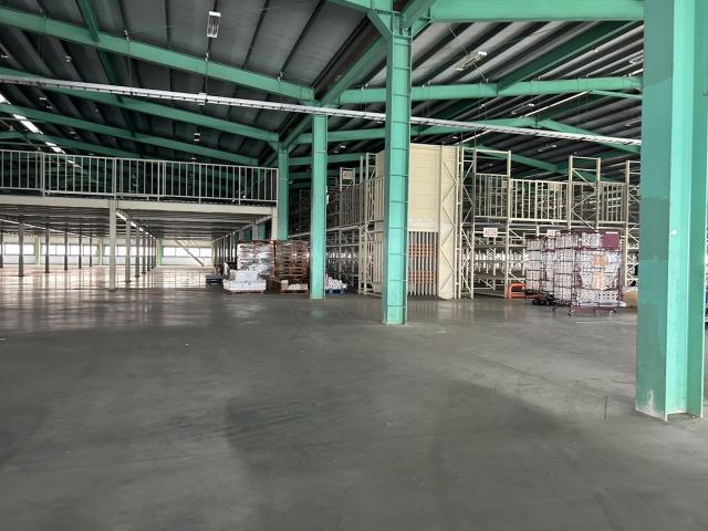 桃園大園廠房-1