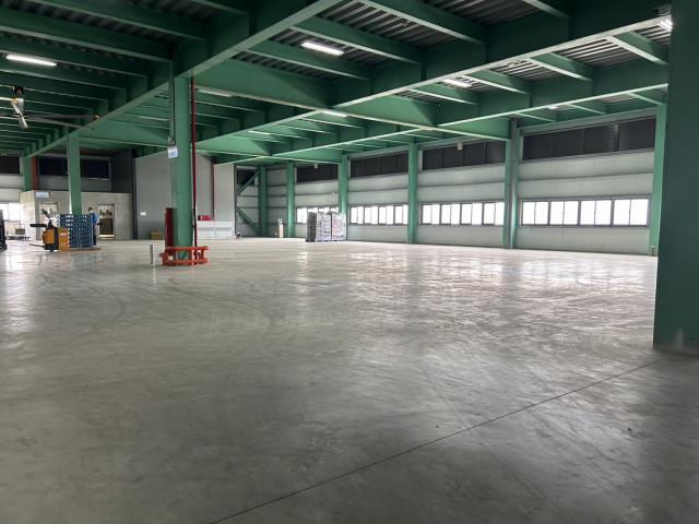 桃園大園廠房-3