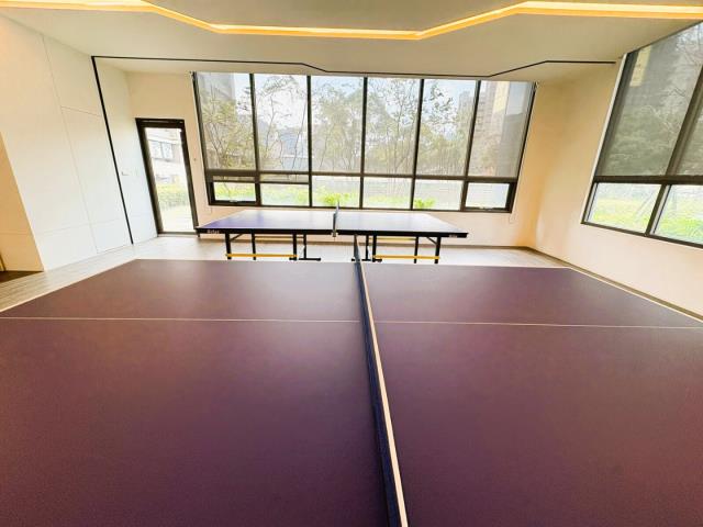 新北林口華廈-14