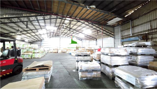 桃園新屋廠房-3