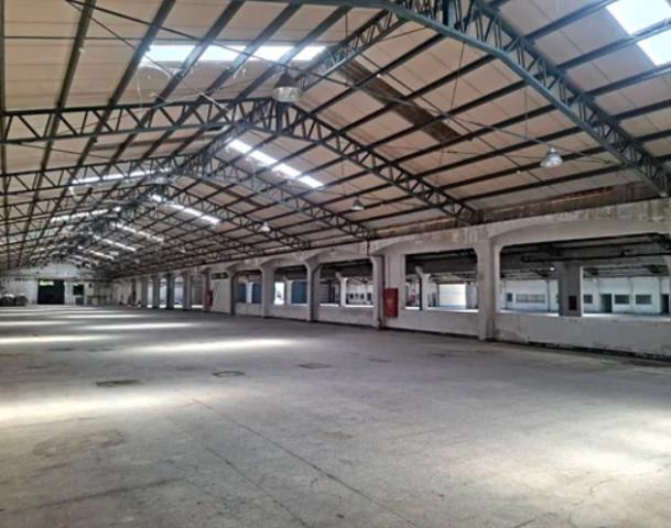 桃園廠房-2