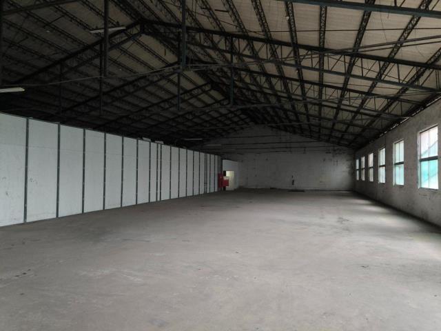 桃園桃園區廠房-1