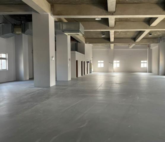 桃園大園廠房-2