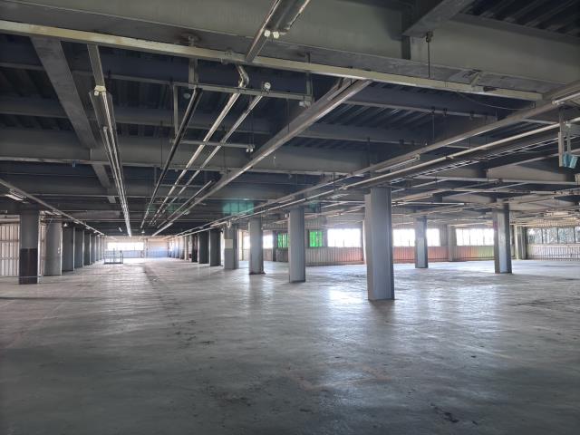 桃園大園廠房-3