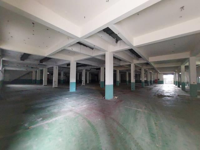 桃園大溪廠房-2