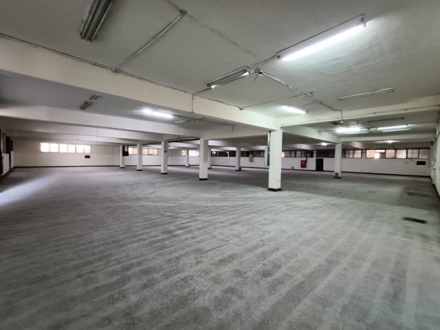 桃園楊梅廠房-3