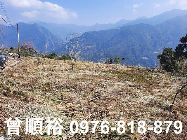 新竹尖石農地-11