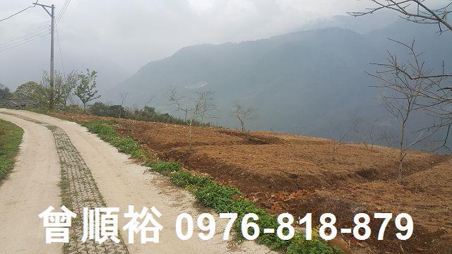 新竹尖石農地-1