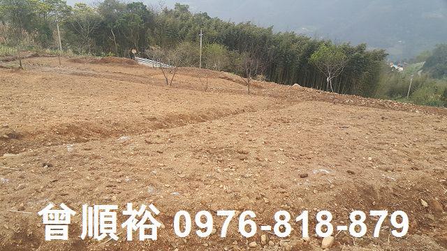 新竹尖石農地-3