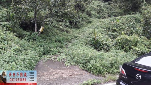 苗栗獅潭農地-1