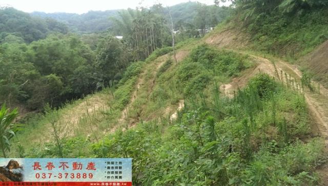 苗栗公館農地-1