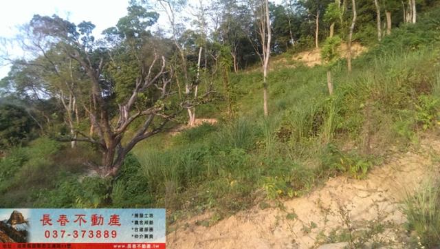 苗栗公館農地-2