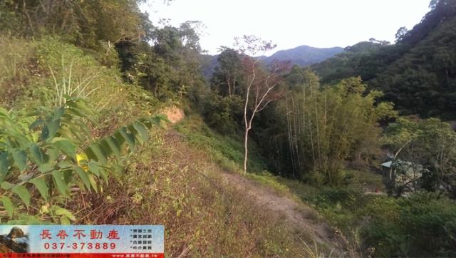 苗栗公館農地-3