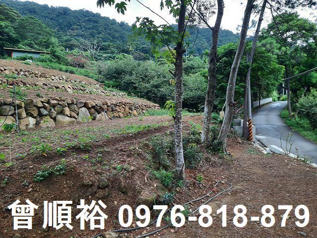 新竹竹東農地-6