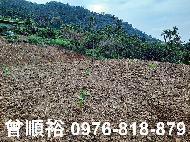 新竹竹東農地-1