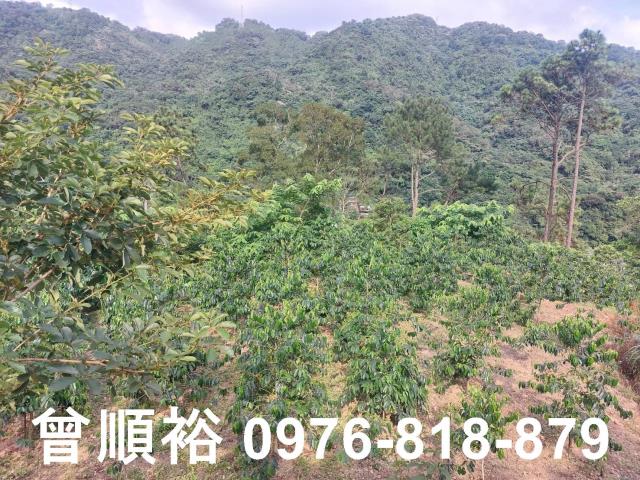 新竹竹東農地-15