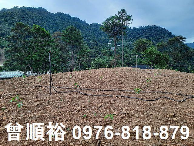 新竹竹東農地-2