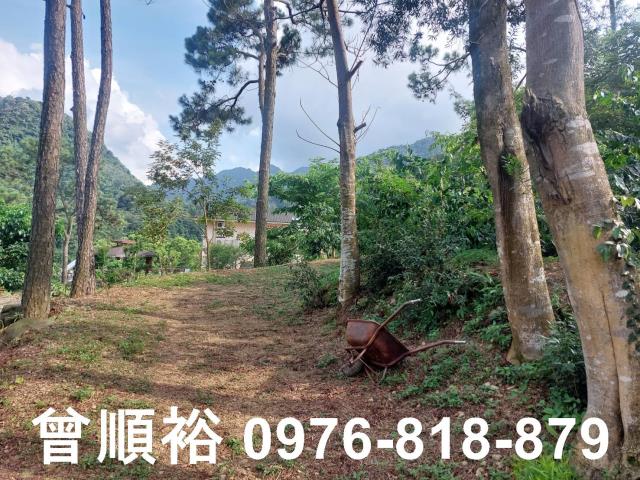 新竹竹東農地-11