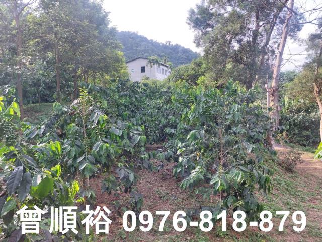 新竹竹東農地-12