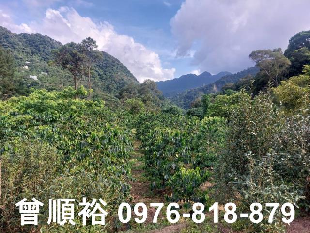 新竹竹東農地-13