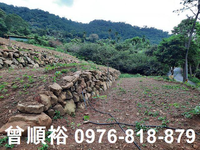 新竹竹東農地-4