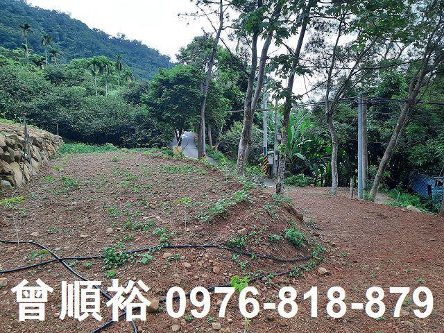 新竹竹東農地-5