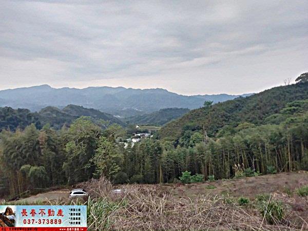 苗栗大湖農地-1