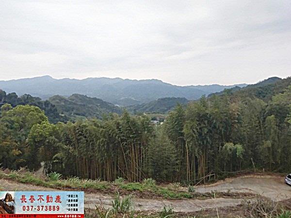 苗栗大湖農地-2