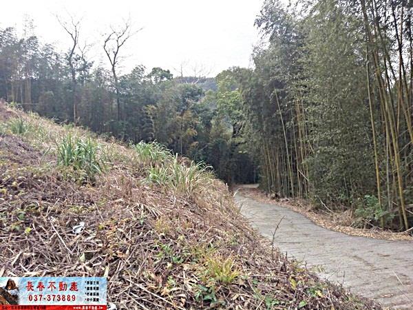 苗栗大湖農地-3