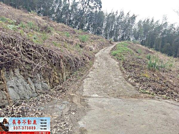 苗栗大湖農地-4