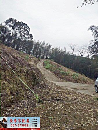 苗栗大湖農地-6